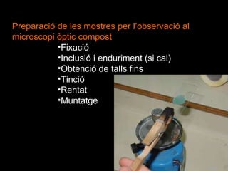 Preparació de les mostres per l’observació al microscopi òptic compost Fixació Inclusió i enduriment (si cal) Obtenció de talls fins Tinció Rentat  Muntatge 