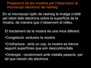 Preparació de les mostres per l’observació al microscopi electrònic de rastreig En el microscopi òptic de rastreig la imatge s’obté pel rebot dels electrons sobre la superfície de la mostra, de manera que n’observem el relleu. El tractament de la mostra és una mica diferent. Congelació: endureix la mostra Criofractura : amb un cop, la mostra es trenca  seguint superfícies que són descontinuïtats Ombrejat : recobriment amb metalls pesants  per tal que rebotin els electrons 