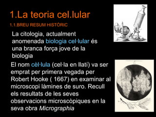 1.La teoria cel.lular 1.1.BREU RESUM HISTÒRIC La citologia, actualment anomenada  biologia cel·lular  és una branca força jove de la biologia El nom  cèl·lula  (cel·la en llatí) va ser emprat per primera vegada per Robert Hooke ( 1667) en examinar al microscopi làmines de suro. Recull els resultats de les seves observacions microscòpiques en la seva obra  Micrographia 