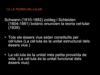 1.2. LA TEORIA CEL·LULAR Schwann (1810-1882) zoòleg i Schleiden ( 1804-1881) botànic enuncien la teoria cel·lular (1839): Tots els éssers vius estan constituïts per cèl·lules (La cèl·lula és la unitat estructural dels éssers vius ) La cèl.lula és la unitat més petita proveïda de vida. (La cèl·lula és la unitat funcional dels éssers vius) 