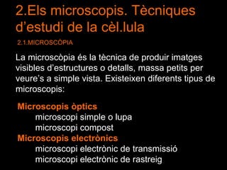 2.Els microscopis. Tècniques d’estudi de la cèl.lula 2.1.MICROSCÒPIA La microscòpia és la tècnica de produir imatges visibles d’estructures o detalls, massa petits per veure’s a simple vista. Existeixen diferents tipus de microscopis:  Microscopis òptics   microscopi simple o lupa  microscopi compost  Microscopis electrònics   microscopi electrònic de transmissió  microscopi electrònic de rastreig  