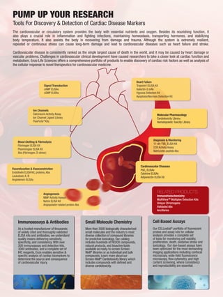 Angiogenesis
MMP Activity Assays
Netrin ELISA Kit
Angiopoietin-related protein Abs
PUMP UP YOUR RESEARCH
Tools For Discovery & Detection of Cardiac Disease Markers
The cardiovascular or circulatory system provides the body with essential nutrients and oxygen. Besides its nourishing function, it
also plays a crucial role in inflammation and fighting infections, maintaining homeostasis, transporting hormones, and stabilizing
body temperature. It also assists the body in recovering from damage and trauma. Although the system is extremely resilient,
repeated or continuous stress can cause long-term damage and lead to cardiovascular diseases such as heart failure and stroke.
Cardiovascular disease is consistently ranked as the single largest cause of death in the world, and it may be caused by heart damage or
vascular problems. Challenges in cardiovascular clinical development have caused researchers to take a closer look at cardiac function and
metabolism. Enzo Life Sciences offers a comprehensive portfolio of products to enable discovery of cardiac risk factors as well as analysis of
the cellular response to novel therapeutics for cardiovascular medicine.
Immunoassays & Antibodies
As a trusted manufacturer of thousands
of widely cited and thoroughly validated
ELISA kits and antibodies, we understand
quality means delivering sensitivity,
specificity, and consistency. With over
300 immunoassay and detection kits,
3000 antibodies, and a complete set of
IHC reagents, Enzo enables sensitive &
specific analysis of cardiac biomarkers to
determine the source and consequence
of cardiovascular injury.
Diagnosis & Monitoring
11-dh-TXB2
ELISA Kit
COX Activity Assay
Natriuretic peptide Abs
Signal Transduction
cAMP ELISAs
cGMP ELISAs
Molecular Pharmacology
Cardiotoxicity Library
Hematopoietic Toxicity Library
Heart Failure
Troponin I ELISA Kit
Galactin-3 mAb
Hypoxia Detection Kit
Apoptosis/Necrosis Detection Kit
Vasorelaxation & Vasoconstriction
Endothelin ELISA Kit, proteins, Abs
Leukotoxin A, B
Angiotensin ELISAs
Blood Clotting & Fibrinolysis
Fibrinogen ELISA Kit
Plasminogen ELISA Kit
Abs (Fibrinogen, D-dimer)
Cardiovascular Diseases
PGE2
ELISAs
Cytokine ELISAs
Adiponectin ELISA Kit
RELATED PRODUCTS
Immunohistochemistry
MultiViewTM
Multiplex Detection Kits
Unique Chromogens
Validated Abs
Ancillaries
Ion Channels
Calcineurin Activity Assay
Ion Channel Ligand Library
FluoForte®
Kits
Small Molecule Chemistry
More than 3000 biologically characterized
small molecules and the industry’s most
diverse collection of compound libraries
for predictive toxicology. Our catalog
includes hundreds of REDOX compounds,
natural products, and bioactive lipids
available as ready-to-screen Screen-
Well®
libraries or as individual and bulk
compounds. Learn more about our
Screen-Well®
Cardiotoxicity library which
includes compounds with defined and
diverse cardiotoxicity.
Cell Based Assays
Our CELLestial®
portfolio of fluorescent
probes and assay kits for cellular
analysis provides a complete set
of tools for monitoring cell viability,
proliferation, death, oxidative stress and
toxicology. Our dye-based assays have
been optimized for the most demanding
imaging applications including confocal
microscopy, wide-field fluorescence
microscopy, flow cytometry, and high
content screening, where consistency
and reproducibility are essential.
 