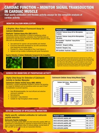CARDIAC FUNCTION – MONITOR SIGNAL TRANSDUCTION
IN CARDIAC MUSCLE
High-purity antibodies and flexible activity assays for the complete analysis of
cardiac activity
PRODUCT NAME PRODUCT #
FluoForte®
Calcium Assay Kit for Microplates,
10 plates
ENZ-51016
FluoForte®
Calcium Assay Kit for Micropolates,
100 plates
ENZ-51017
GFP-Certified®
FluoForte®
Assay Kit for
Microplates
ENZ-51020
FluoForte®
Reagent, 5x50ug ENZ-52014
FluoForte®
Reagent, 1mg ENZ-52015
GFP-Certified®
FluoForte®
Reagent ENZ-52016
A Brighter, More Robust Fluorescent Assay for
Calcium Mobilization
FluoForte®
Calcium Assay Kits (ENZ-51017)
Intracellular calcium mobilization is critical to maintaining cellular
depolarization during ventricular contraction. Enzo FluoForte dyes are
optimized for high-throughput detection of intracellular calcium in living
cells such as cardiomyocytes.
•	 Dye optimized for superior cell-permeability and retention
•	 Economical alternative developed for use with conventional
dual-dispensing microplate readers
•	 Provides EC50 values comparable to Fluo-4 and Calcium 4
•	 Optional red dye enables multiplexing with green fluorophores
FluoForte exhibits significantly brighter fluorescence intensity than Fluo-3 AM and
Fluo-4 AM. Evaluation of relative dye fluorescence. U2OS cells were seeded overnight,
growth medium was removed, and cells were incubated with 100 µl of FluoForte®
AM,
Fluo-3 AM, or Fluo-4 AM in HHBS at 37 °C, 5% CO2 incubator for 1 hour. The cells
were washed twice with 200 µl HHBS, and ATP (20 µL/well) was added to achieve
concentrations of 200 nM with dye efflux inhibitor. Cells were then immediately
imaged with a fluorescence microscope (Olympus IX71) using FITC channel.
FluoForte®
AM Fluo 3 AM Fluo 4 AM
PRODUCT NAME PRODUCT #
Atrial natriuretic peptide, pAb BML-AA1105
Atrial natriuretic peptide, mAb (23/1) BML-AA6244
Atrial natriuretic peptide, pAb BML-AZ1072
Brain natriuretic peptide, pAb BML-BA1117
Brain natriuretic peptide BML-BP9117
DETECT MARKERS OF MYOCARDIAL INFARCTION
Highly specific, validated antibodies for natriuretic
peptide detection
Natriuretic Peptide Antibodies
The brain natriuretic peptide (BNP) and atrial natriuretic peptide (ANP) are
synthesized in cardiomyocytes in response to various forms of stress, and
have a powerful vasodilatory effect. In clinical settings, normal levels of
BNP and ANP can be used to rule out myocardial infarction.
Superior Detection of Calcium Mobilization Compared to the Competition
Highly Cited Assay for Detection of Calcineurin
Activity in Cardiac Myocytes
Calcineurin Cellular Activity Assay (BML-AK816)
Calcineurin, a protein phosphatase involved in immune cell signaling,
is a target for inhibitors such as everolimus which are used in heart
transplantation to prevent rejection.
•	 Uses RII phosphopeptide, the most efficient and selective 		
	 calcineurin substrate
•	 Nonradioactive
•	 Convenient 1-step detection
•	 Suitable for high-throughput cellular analysis
Calcineurin Cellular Assay Using Mouse Brain
Phosphatase activity
from a freshly prepared
mouse brain extract.
Prior to gel filtration
the extract was diluted
1:1 in lysis buffer
containing protease
inhibitors. After gel
filtration and prior to
the phosphatase assay,
the extract was diluted
1/25 in lysis buffer. The
reaction was incubated
for 30 min at 30°C.
SCREEN FOR INHIBITORS OF PHOSPHATASE ACTIVITY
MONITOR CALCIUM MOBILIZATION
 