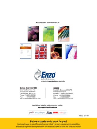 Put our experience to work for you!
Our broad range of scientific expertise and industry-proven manufacturing capabilities
enables us to provide a comprehensive set of research tools to save you time and money!
Clinical Labs
Life Sciences
Therapeutics
Biochem
®
®
For a full list of local offices and distributors visit us online:
www.enzolifesciences.com
EUROPE
Enzo Life Sciences (ELS) AG
Industriestrasse 17
CH-4415 Lausen, Switzerland
Phone: 	 +41 61 926 8989
Fax: 	 +41 61 926 8979
info-eu@enzolifesciences.com
GLOBAL HEADQUARTERS
Enzo Life Sciences Inc.
10 Executive Boulevard
Farmingdale, NY 11735
Phone: 1.800.942.0430
Fax:	 	 631.694.7501
info-usa@enzolifesciences.com
scientists enabling scientists.
Life Sciences
®
.com
The Reagents Marketplace
MB15-031414
Clinical Labs
Life Sciences
Therapeutics
Biochem
®
®
PREDICTIVE TOXICOLOGY
Innovative Solutions for
Early Safety Assessment
Clinical Labs
Life Sciences
Therapeutics
Biochem
®
®
AUTOPHAGY
Industry-leading Tools for Analysis
of Autophagic Pathways
Put our experience to work for you!
Our broad range of scientific expertise and industry-proven manufacturing capabilities
enables us to provide a comprehensive set of research tools to save you time and money!
Clinical Labs
Life Sciences
Therapeutics
Biochem
®
®
IMMunohIstoCheMIstRy
Complete Solutions for
IHC Analysis
Clinical Labs
Life Sciences
Therapeutics
Biochem
®
®
EPIGENETICS
Unravel the Code
Within the Code
Clinical Labs
Life Sciences
Therapeutics
Biochem
®
®
ASSAY KITS
Flexible Formats for Biomarker Detection,
Cell Analysis, and Enzyme Activity
Put our experience to work for you!
Our broad range of scientific expertise and industry-proven manufacturing capabilities
enables us to provide a comprehensive set of assay kits to save you time and money!
You may also be interested in:
 