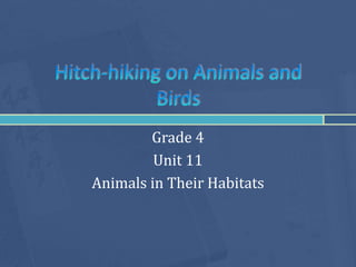 Grade 4
         Unit 11
Animals in Their Habitats
 