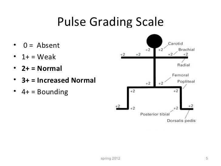 N 295 lecture 10 peripheral vasc student copy