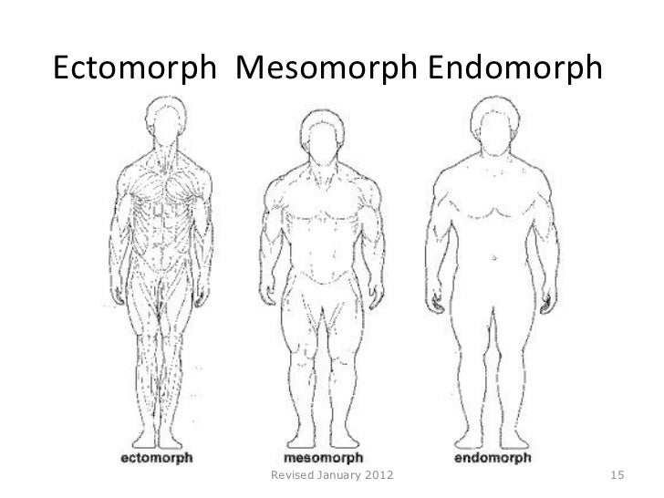 endomesomorph