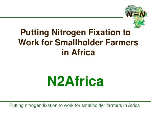 Image result for N2Africa