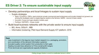 N2Africa-Ethiopia Exit Strategy: Draft for further developments