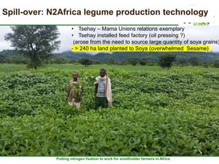 Assessment of progresses towards results