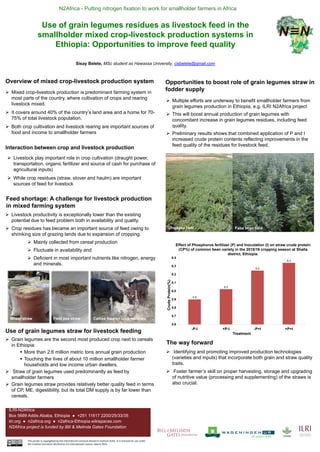 N2Africa - Putting nitrogen fixation to work for smallholder farmers in Africa
ILRI-N2Africa
Box 5689 Addis Ababa, Ethiopi...