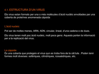 4.1.  ESTRUCTURA D’UN VIRUS Els virus estan formats per una o més molècules d’àcid nuclèic envoltades per una coberta de proteïnes anomenada càpsida L’àcid nucleic Pot ser de moltes menes, ARN, ADN, circular, lineal, d’una cadena o de dues. Els virus tenen molt poc àcid nucleic, molt pocs gens: Aquests porten la informació per a la replicació del virus.  La càpside És una coberta que protegeix el virus qun es troba fora de la cèl.lula . Poden tenir formes molt diverses: esfèriques, cilíndriques, icosaèdriques, etc.  