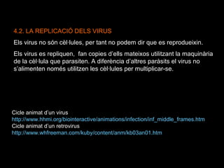Cicle animat d’un virus http://www.hhmi.org/biointeractive/animations/infection/inf_middle_frames.htm Cicle animat d’un retrovirus http://www.whfreeman.com/kuby/content/anm/kb03an01.htm 4.2. LA REPLICACIÓ DELS VIRUS Els virus no són cèl·lules, per tant no podem dir que es reprodueixin.  Els virus es repliquen,  fan copies d’ells mateixos utilitzant la maquinària de la cèl·lula que parasiten. A diferència d’altres paràsits el virus no s’alimenten només utilitzen les cèl·lules per multiplicar-se. 