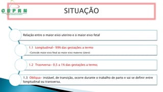 Relação entre o maior eixo uterino e o maior eixo fetal
1.1 Longitudinal- 99% das gestações a termo
•Coincide maior eixo fetal ao maior eixo materno (útero)
1.2 Trasnversa- 0,5 a 1% das gestações a termo;
1.3 Oblíqua- instável, de transição, ocorre durante o trabalho de parto e vai se definir entre
longitudinal ou transversa.
 