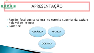  Região fetal que se coloca no estreito superior da bacia e
nele vai se insinuar
 Pode ser:
CEFÁLICA PÉLVICA
CÓRMICA
 