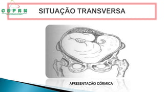 APRESENTAÇÃO CÓRMICA
 