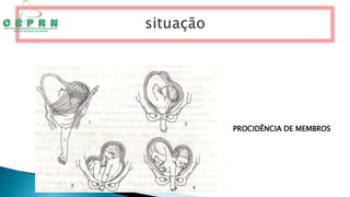 PROCIDÊNCIA DE MEMBROS
 