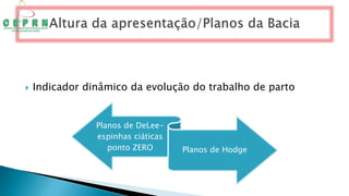  Indicador dinâmico da evolução do trabalho de parto
Planos de DeLee-
espinhas ciáticas
ponto ZERO Planos de Hodge
 