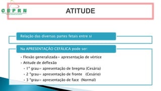Relação das diversas partes fetais entre si
• Flexão generalizada= apresentação de vértice
• Atitude de deflexão
• 1º grau= apresentação de bregma (Cesária)
• 2 ºgrau= apresentação de fronte (Cesário)
• 3 ºgrau= apresentação de face (Normal)
Na APRESENTAÇÃO CEFÁLICA pode ser:
 