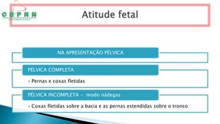 NA APRESENTAÇÃO PÉLVICA
• Pernas e coxas fletidas
PÉLVICA COMPLETA
• Coxas fletidas sobre a bacia e as pernas estendidas sobre o tronco
PÉLVICA INCOMPLETA - modo nádegas
 