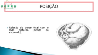  Relação do dorso fetal com o
lado materno (direito ou
esquerdo)
 