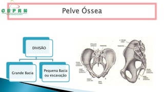 DIVISÃO
Grande Bacia
Pequena Bacia
ou escavação
 