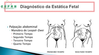  Palpação abdominal
◦ Manobra de Leopol-Zweifel
 Primeiro Tempo
 Segundo Tempo
 Terceiro Tempo
 Quarto Tempo
PRIMEIRO TEMPO SEGUNDO TEMPO
 