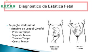  Palpação abdominal
◦ Manobra de Leopol-Zweifel
 Primeiro Tempo
 Segundo Tempo
 Terceiro Tempo
 Quarto Tempo
TERCEIRO
TEMPO
QUARTO
TEMPO
 