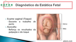  Exame vaginal (Toque)
◦ Durante o trabalho de
parto
 Ausculta
◦ Reforça os resultados da
palpação e do toque
 