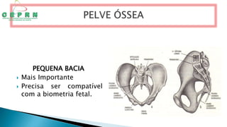 PEQUENA BACIA
 Mais Importante
 Precisa ser compatível
com a biometria fetal.
 