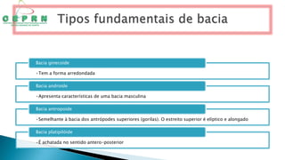 •Tem a forma arredondada
Bacia ginecoide
•Apresenta características de uma bacia masculina
Bacia androide
•Semelhante à bacia dos antrópodes superiores (gorilas). O estreito superior é elíptico e alongado
Bacia antropoide
•É achatada no sentido antero-posterior
Bacia platipilóide
 