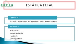 • Analisa as relações do feto com a bacia e com o útero
DEFINIÇÃO
• Situação
• Apresentação
• Atitude
• Posição fetal
RELAÇÕES
 