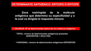 DETERMINANTE ANTIGÉNICO: EPITOPO O EPITOPE
Zona restringida de la molécula
antigénica que determina su especificidad y a
la cual va dirigida la respuesta inmune
❑ VALENCIA: Nº de determinantes dentro de una molécula antigénica
▪TOTAL: número de determinantes antigénicos presentes
(EXPUESTOS + OCULTOS)
▪FUNCIONAL: número de determinantes antigénicos EXPUESTOS
 