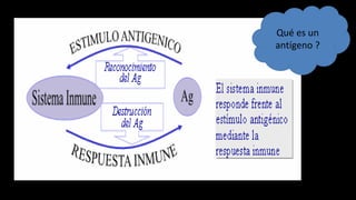 Qué es un
antígeno ?
 