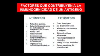 FACTORES QUE CONTRIBUYEN A LA
INMUNOGENICIDAD DE UN ANTIGENO
 