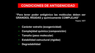 CONDICIONES DE ANTIGENICIDAD
“Para tener poder antigénico las moléculas deben ser
GRANDES, RÍGIDAS y químicamente COMPLEJAS”
Tizard, 1977
▪ Carácter extraño (exogenicidad)
▪ Complejidad química (composición)
▪ Tamaño (peso molecular)
▪ Estabilidad estructural (rigidez)
▪ Degradabilidad
 