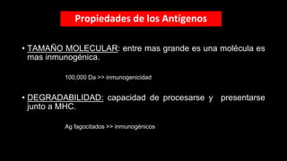 Propiedades de los Antígenos
• TAMAÑO MOLECULAR: entre mas grande es una molécula es
mas inmunogénica.
100,000 Da >> inmunogenicidad
• DEGRADABILIDAD: capacidad de procesarse y presentarse
junto a MHC.
Ag fagocitados >> inmunogénicos
 