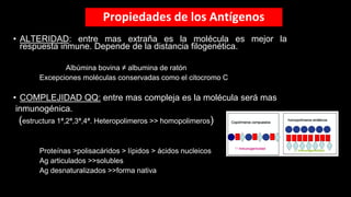 Propiedades de los Antígenos
• ALTERIDAD: entre mas extraña es la molécula es mejor la
respuesta inmune. Depende de la distancia filogenética.
Albúmina bovina ≠ albumina de ratón
Excepciones moléculas conservadas como el citocromo C
• COMPLEJIDAD QQ: entre mas compleja es la molécula será mas
inmunogénica.
(estructura 1ª,2ª,3ª,4ª. Heteropolimeros >> homopolimeros)
Proteínas >polisacáridos > lípidos > ácidos nucleicos
Ag articulados >>solubles
Ag desnaturalizados >>forma nativa
 