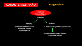 CARÁCTER EXTRAÑO Exogenicidad
Sistema
inmunológico
diferencia
PROPIO AJENO
Desarrollo de tolerancia a
antígenos propios
(autoantígenos)
> Distancia filogenética (diferencias)
> Intensidad respuesta inmune
(inmunogenicidad)
 