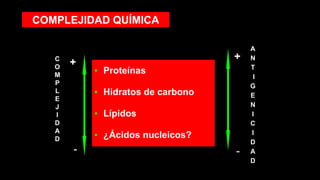 COMPLEJIDAD QUÍMICA
▪ Proteínas
▪ Hidratos de carbono
▪ Lípidos
▪ ¿Ácidos nucleicos?
C
O
M
P
L
E
J
I
D
A
D
A
N
T
I
G
E
N
I
C
I
D
A
D
+
-
+
-
 