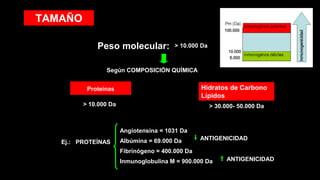 TAMAÑO
Peso molecular: > 10.000 Da
Según COMPOSICIÓN QUÍMICA
Proteínas Hidratos de Carbono
Lípidos
> 10.000 Da > 30.000- 50.000 Da
Angiotensina = 1031 Da
Albúmina = 69.000 Da
Fibrinógeno = 400.000 Da
Inmunoglobulina M = 900.000 Da
Ej.: PROTEÍNAS
ANTIGENICIDAD
ANTIGENICIDAD
 