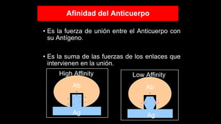Afinidad del Anticuerpo
• Es la fuerza de unión entre el Anticuerpo con
su Antígeno.
• Es la suma de las fuerzas de los enlaces que
intervienen en la unión.
Ab
Ag
High Affinity
Ab
Ag
Low Affinity
 