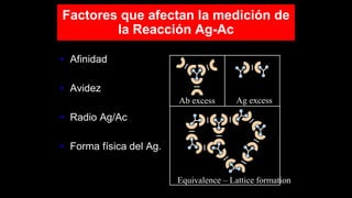 • Afinidad
• Avidez
• Radio Ag/Ac
• Forma física del Ag.
Ab excess Ag excess
Equivalence – Lattice formation
Factores que afectan la medición de
la Reacción Ag-Ac
 
