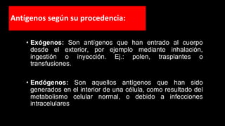 Antígenos según su procedencia:
• Exógenos: Son antígenos que han entrado al cuerpo
desde el exterior, por ejemplo mediante inhalación,
ingestión o inyección. Ej.: polen, trasplantes o
transfusiones.
• Endógenos: Son aquellos antígenos que han sido
generados en el interior de una célula, como resultado del
metabolismo celular normal, o debido a infecciones
intracelulares
 