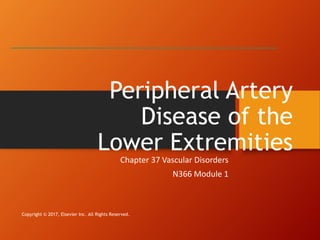 Peripheral Artery
Disease of the
Lower Extremities
Chapter 37 Vascular Disorders
N366 Module 1
Copyright © 2017, Elsevier Inc. All Rights Reserved.
 