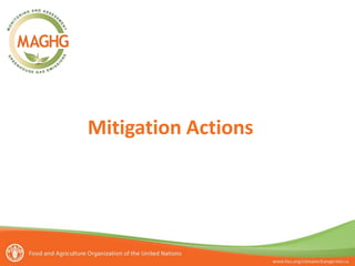 Mitigation Actions

 