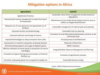 Mitigation options in Africa
Agriculture

LULUCF

Agroforestry Practices

Sustainable native forest management and decreased soil
degradation

Improved post-harvest management to reduce burning of
farming wastes

Maintenance of non-timber forest product areas to serve as
buffers to mitigate desertification

Adequate use of crop sequences and appropriate use of
fertilizers

Sustainable management of national parks and wetlands

Improved varieties and biotechnology

Sustainable land use planning

Improved collection and storage of manure

Promotion of small afforestation/reforestation activities at the
community level

Improved technologies to reduce emissions from cattle

Increased areas of certified forest

Improvement in nutrition and genetics of grazing livestock

Reduction of forest fires

Animal breeding programs and usage of adapted species

REDD+ Initiatives

Effective utilisation of animal waste (in production of manure
and biogas)

Integrated Water Resource Management and Planning

Promotion of organic farming and minimisation of chemical
fertiliser use

Promotion of agroforestry activities

Promotion of growing upland rice as opposed to paddy rice

Sustainable biomass energy

Source: UNFCCC National Communications

 