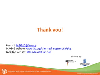 Thank you!
Contact: MAGHG@fao.org
MAGHG website: www.fao.org/climatechange/micca/ghg
FAOSTAT website: http://faostat.fao.org
Financed by:

 