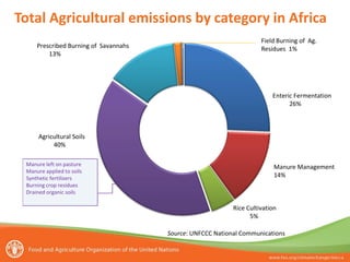 Total Agricultural emissions by category in Africa
Prescribed Burning of Savannahs
13%

Field Burning of Ag.
Residues 1%

Enteric Fermentation
26%

Agricultural Soils
40%
Manure left on pasture
Manure applied to soils
Synthetic fertilizers
Burning crop residues
Drained organic soils

Manure Management
14%

Rice Cultivation
5%
Source: UNFCCC National Communications

 