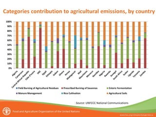 Categories contribution to agricultural emissions, by country
100%
90%
80%
70%
60%
50%
40%
30%
20%
10%
0%

Field Burning of Agricultural Residues

Prescribed Burning of Savannas

Enteric Fermentation

Manure Management

Rice Cultivation

Agricultural Soils

Source: UNFCCC National Communications

 
